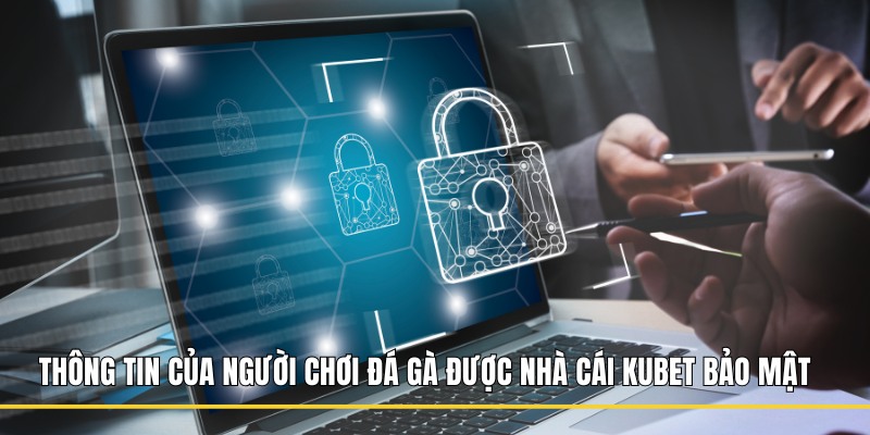 Thông tin của người chơi đá gà được nhà cái Kubet bảo mật 