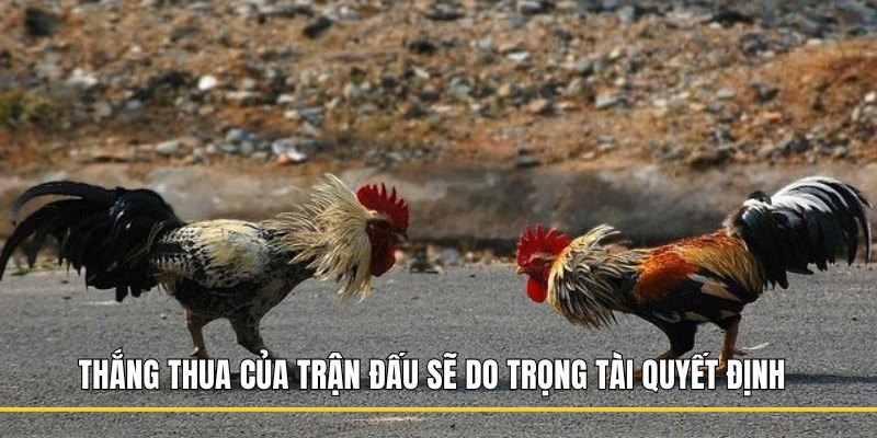 Việc phân định thắng thua của trận đấu sẽ do trọng tài quyết định