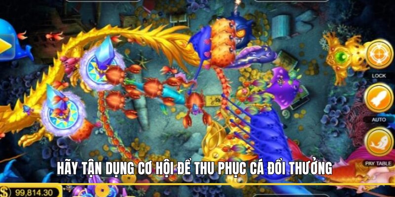 Hãy tận dụng cơ hội để thu phục cá đổi thưởng