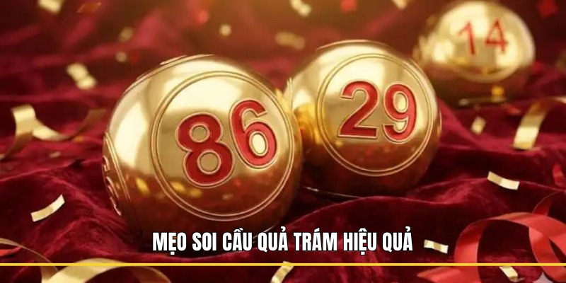 Mẹo soi cầu quả trám hiệu quả 