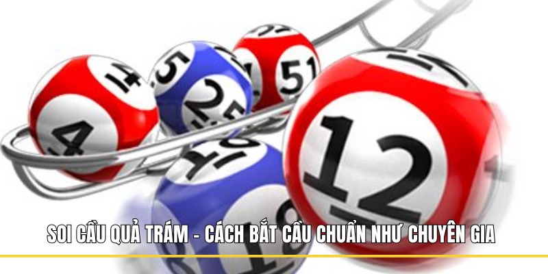 soi cầu quả trám