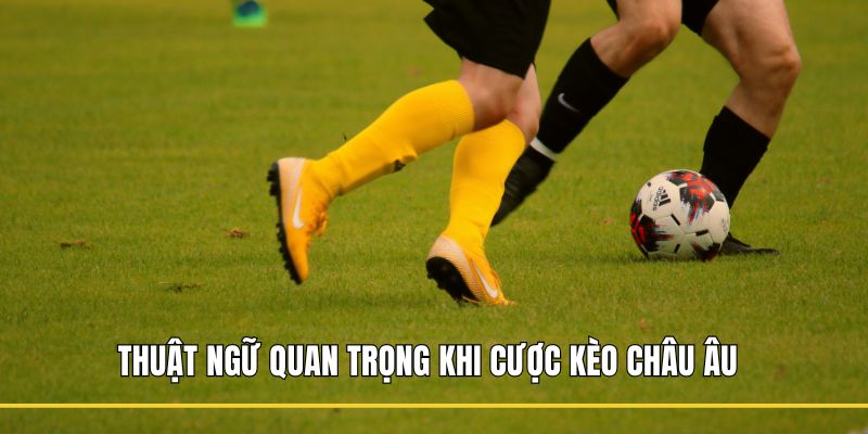 Thuật ngữ quan trọng khi cược kèo Châu Âu