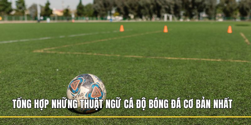 thuật ngữ cá độ bóng đá