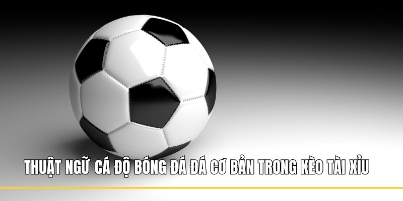 Thuật ngữ cá độ bóng đá đá cơ bản trong kèo tài xỉu 